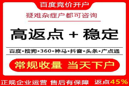 百度推广案例：成功打造行业领军品牌